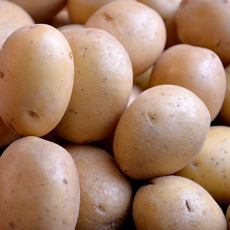 Potato Mondial 10kg bag